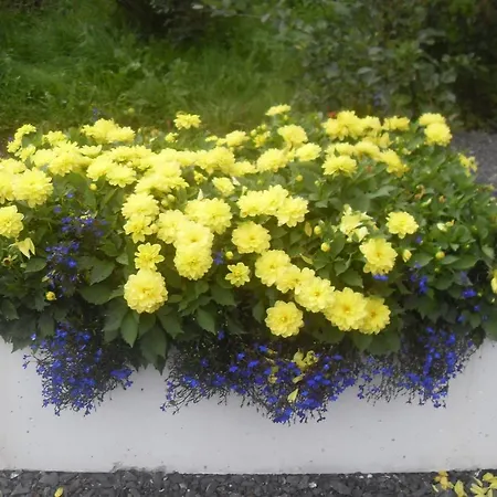 Gate Lodge Cloverhill