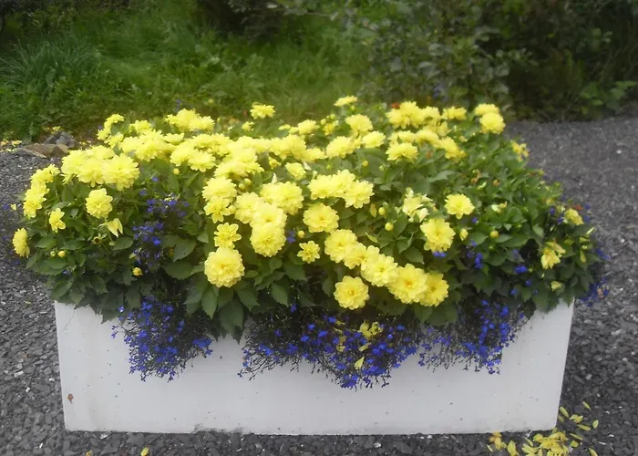 Gate Gerendaház Cloverhill